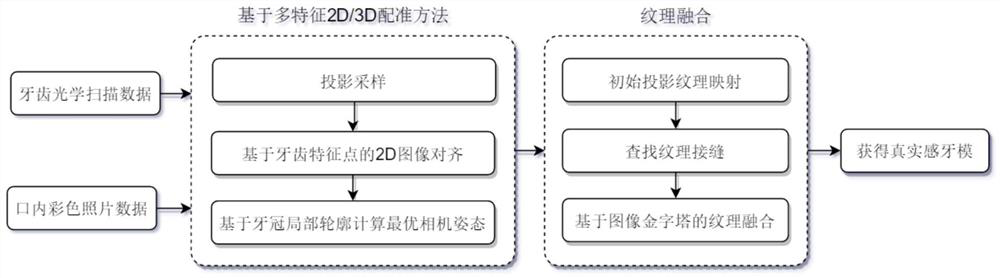 Method for constructing realistic dentition model