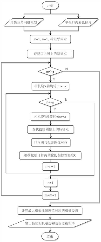 Method for constructing realistic dentition model