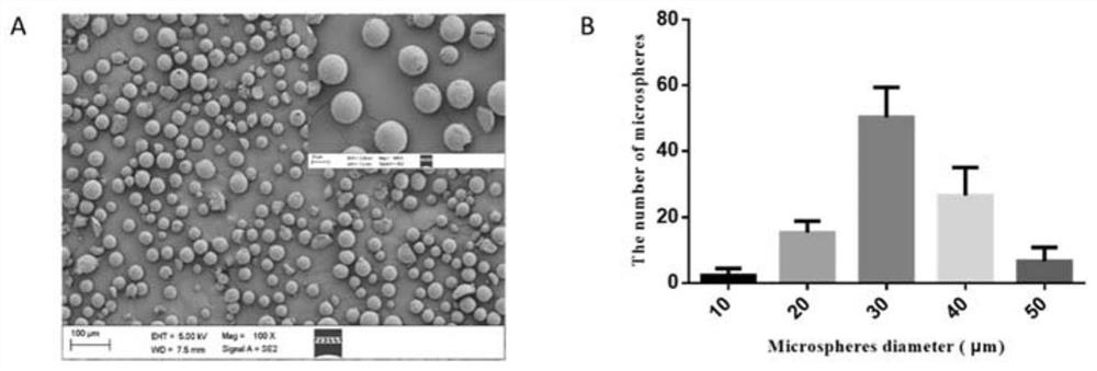 Preparation method and application of multifunctional modified chitosan self-healing hydrogel