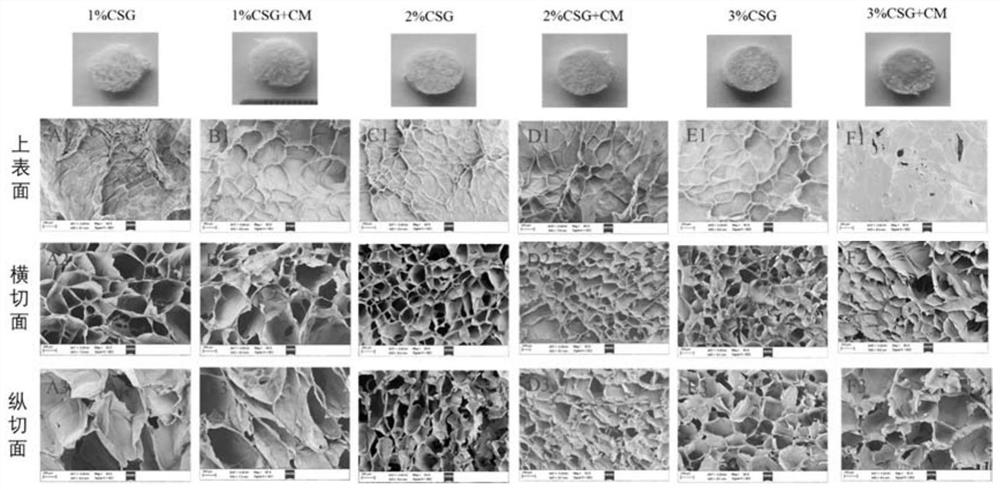 Preparation method and application of multifunctional modified chitosan self-healing hydrogel