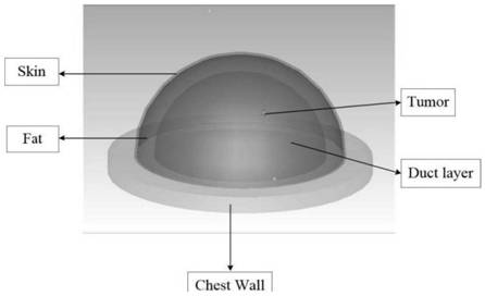 Ultra-wideband microwave breast tumor size prediction system based on long short-term memory