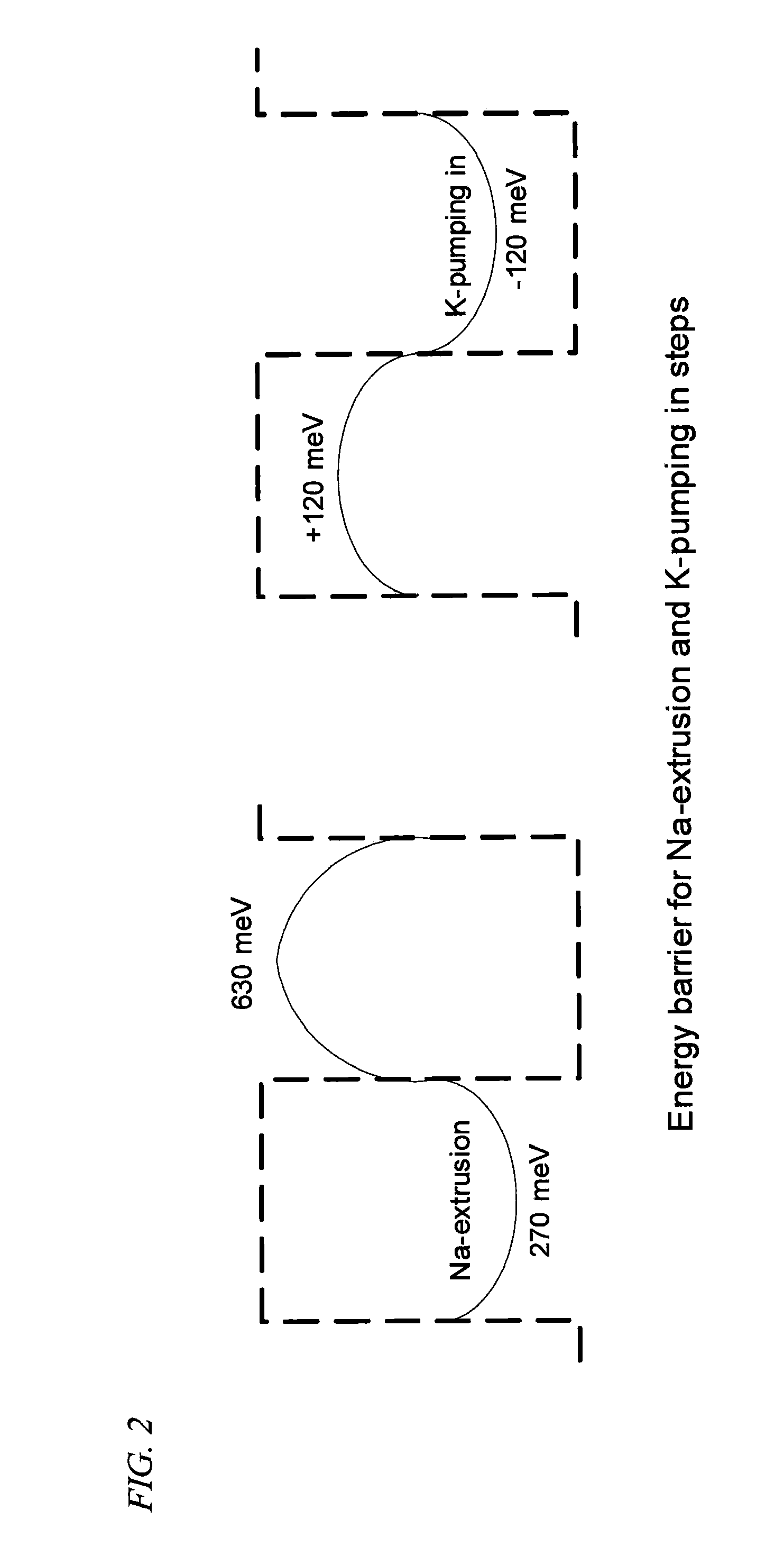 Method of Electrogenically Controlling Pump Molecules