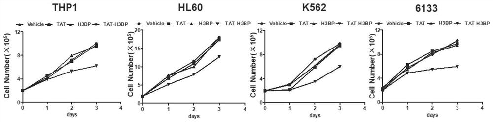 ANP32A-targeted anti-leukemia small molecule peptide as well as preparation method and application thereof