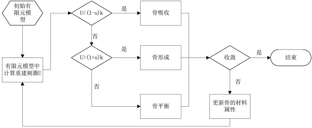 Personalized interbody fusion cage design method based on topological optimization and bony reconstitution simulation