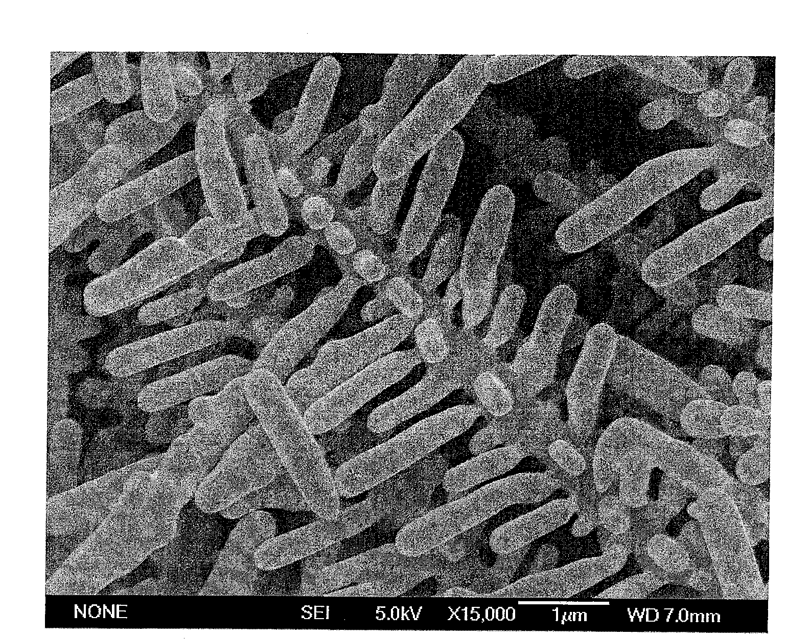 Dendritic silver selenide nano crystal thin film material and preparation method