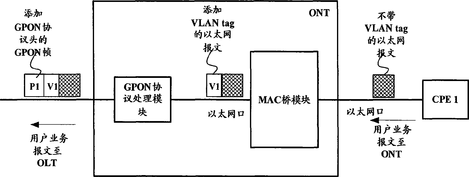 Optical network terminal, and packet process method thereof