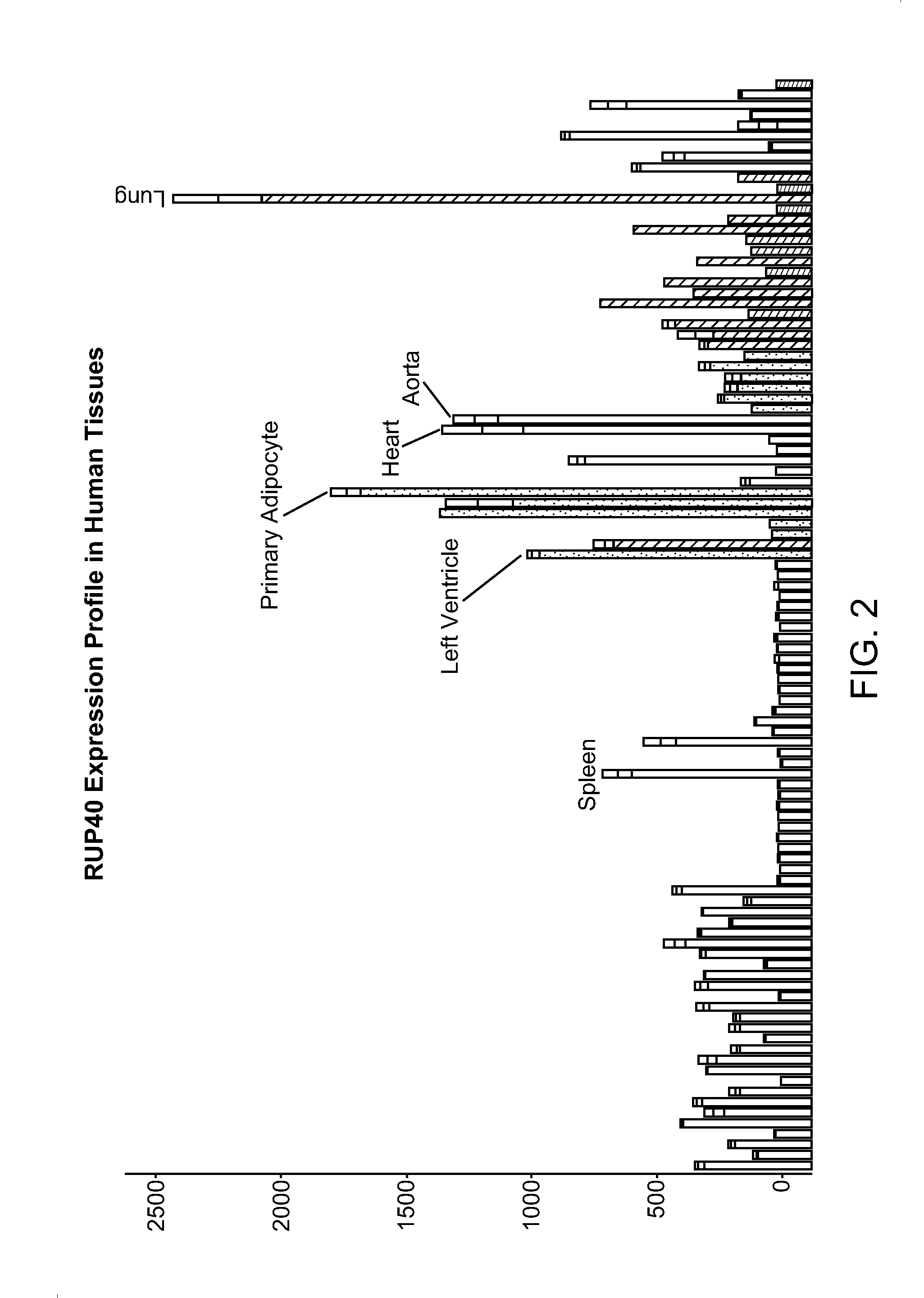 Human G protein-coupled receptor and modulators thereof for the treatment of cardiovascular disorders