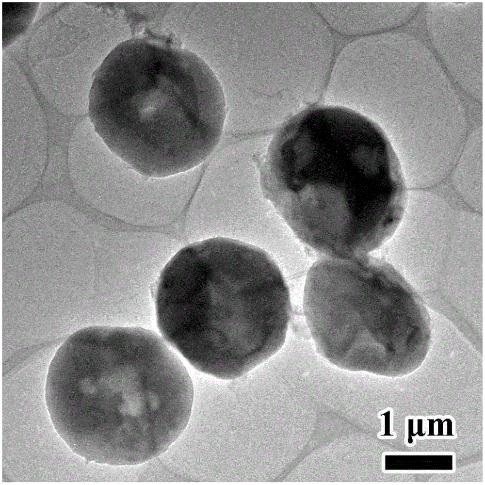 Spherical hollow porous MnO/C composite material and application thereof