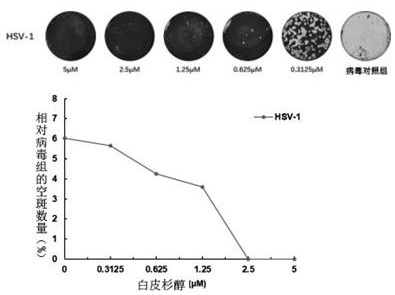 Application of piceatannol in preparation of medicine for preventing and/or treating herpes simplex virus infection