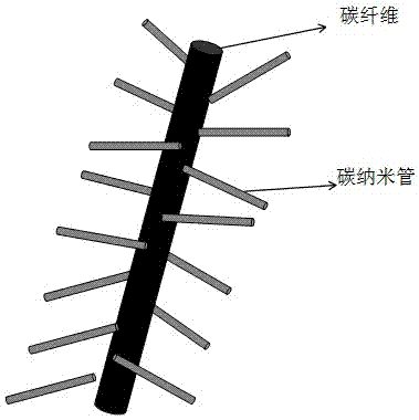 Preparation method of pine needle-like carbon nanotube/carbon fiber conductive network composite carbon material