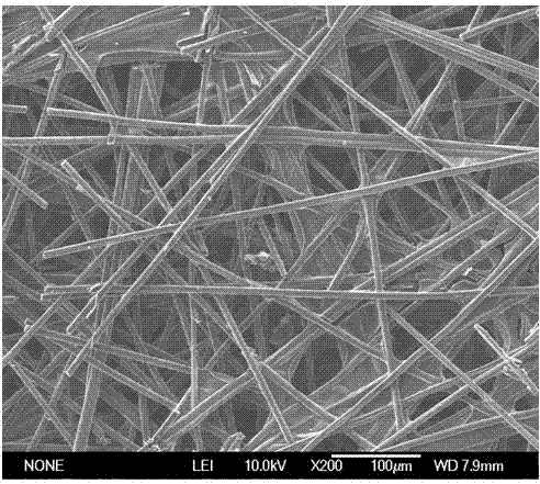 Preparation method of pine needle-like carbon nanotube/carbon fiber conductive network composite carbon material