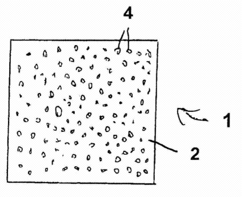 Moulded skin and method for producing moulded skin