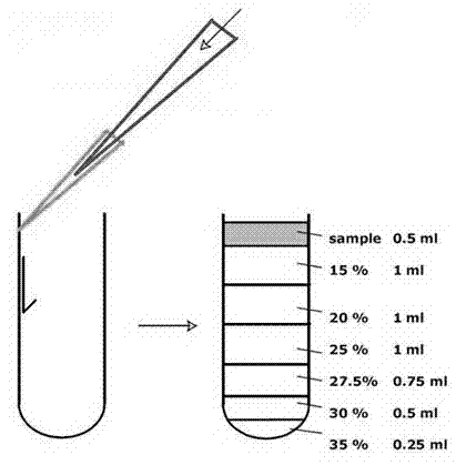 Purification method of recombinant herpes simplex virus