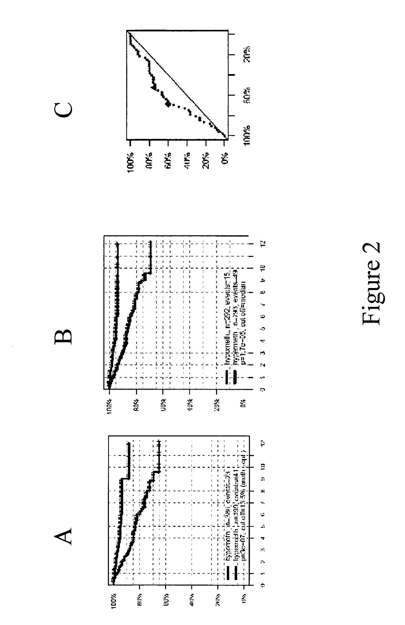 Methods and Nucleic Acids For the Analysis of Gene Expression Associated With the Prognosis of Cell Proliferative Disorders