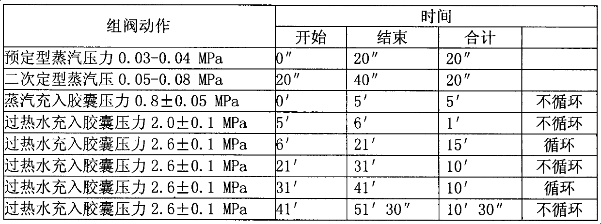 Intermittent hot water circulation pressure stabilization insulation tyre vulcanization technology