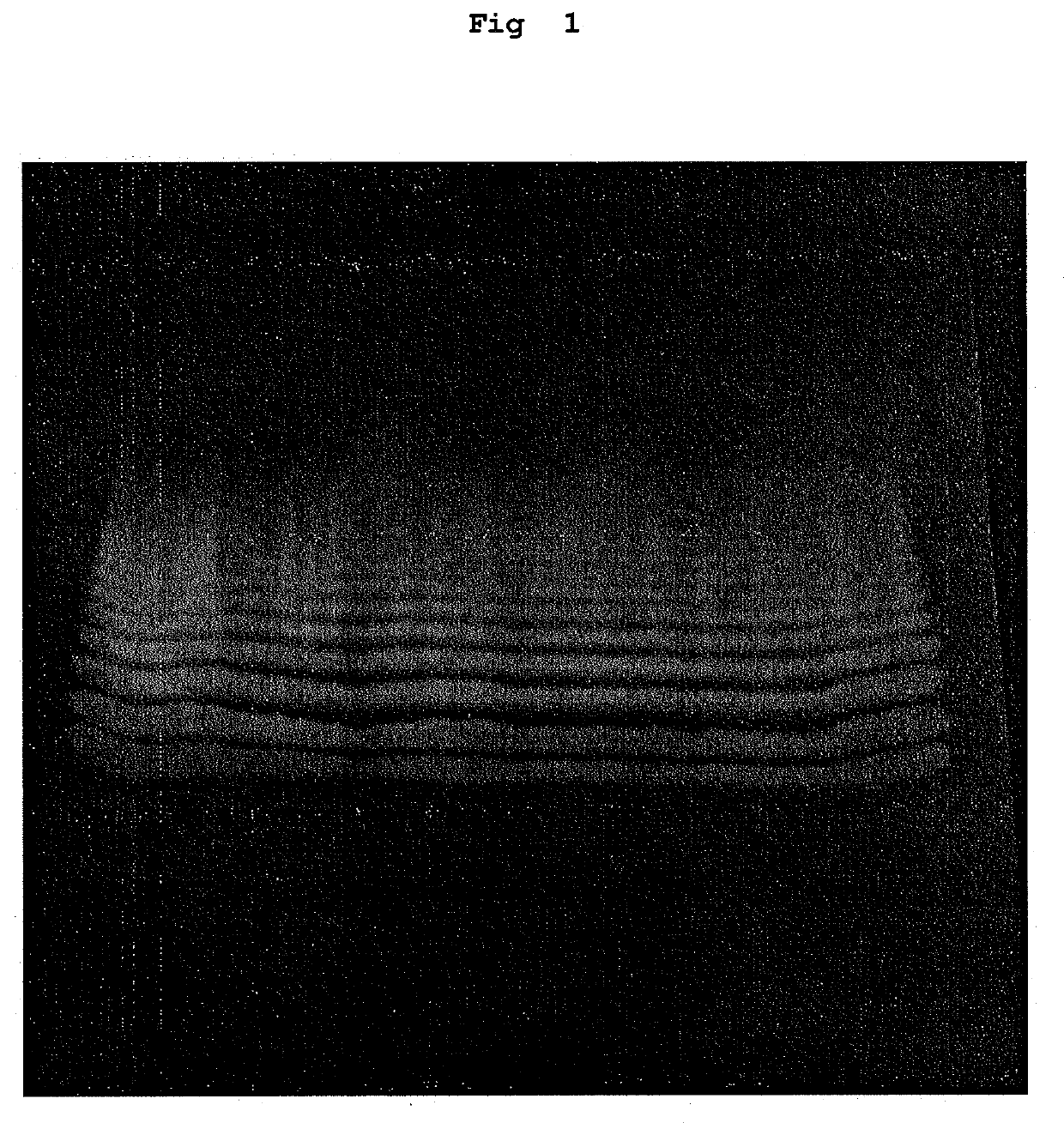 Hydroxylated fatty acid homopolymer and production method thereof