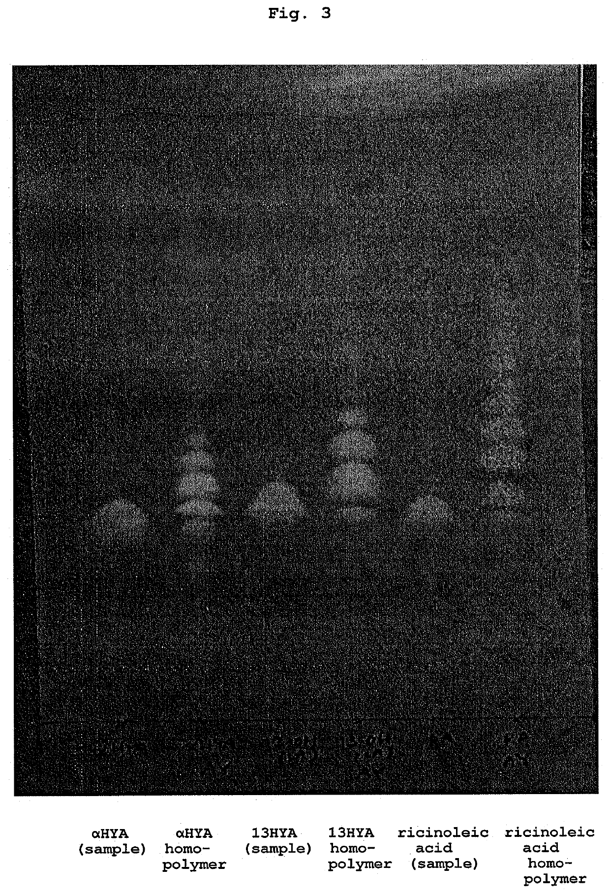 Hydroxylated fatty acid homopolymer and production method thereof