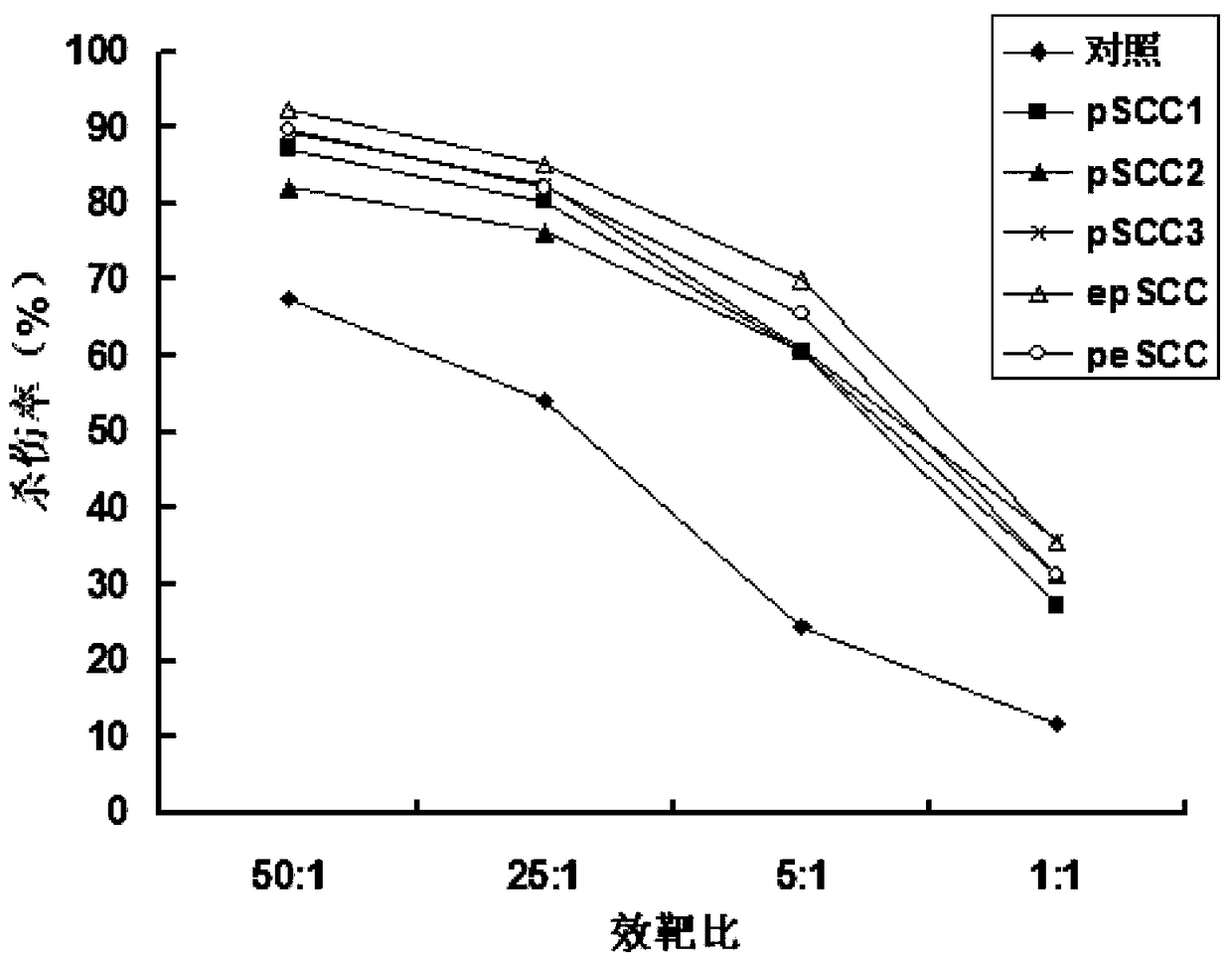 A kind of chimeric molecular converter of T cell signal and its use