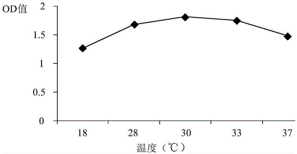 A kind of azo dye golden orange II degrading bacteria and its production of bacterial agent