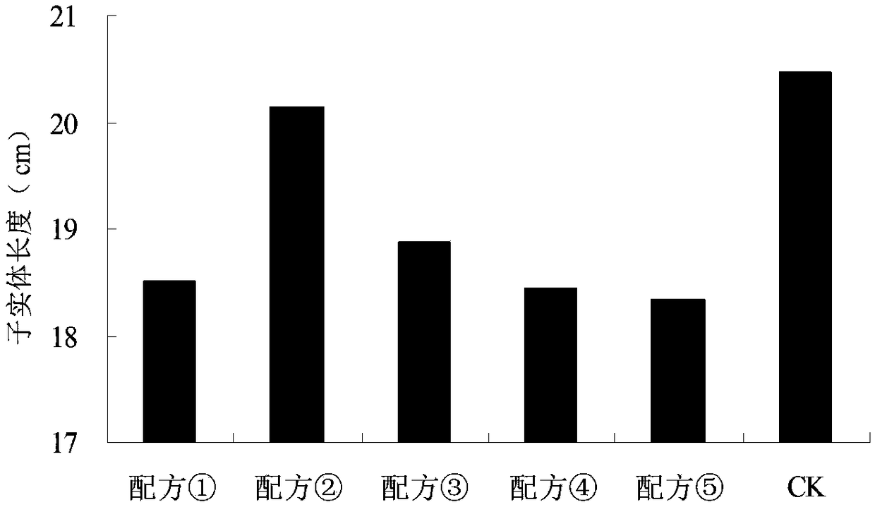 Sparassis crispa culture medium adopting pine and fir sawdust as raw materials and sparassis crispa culture method thereof