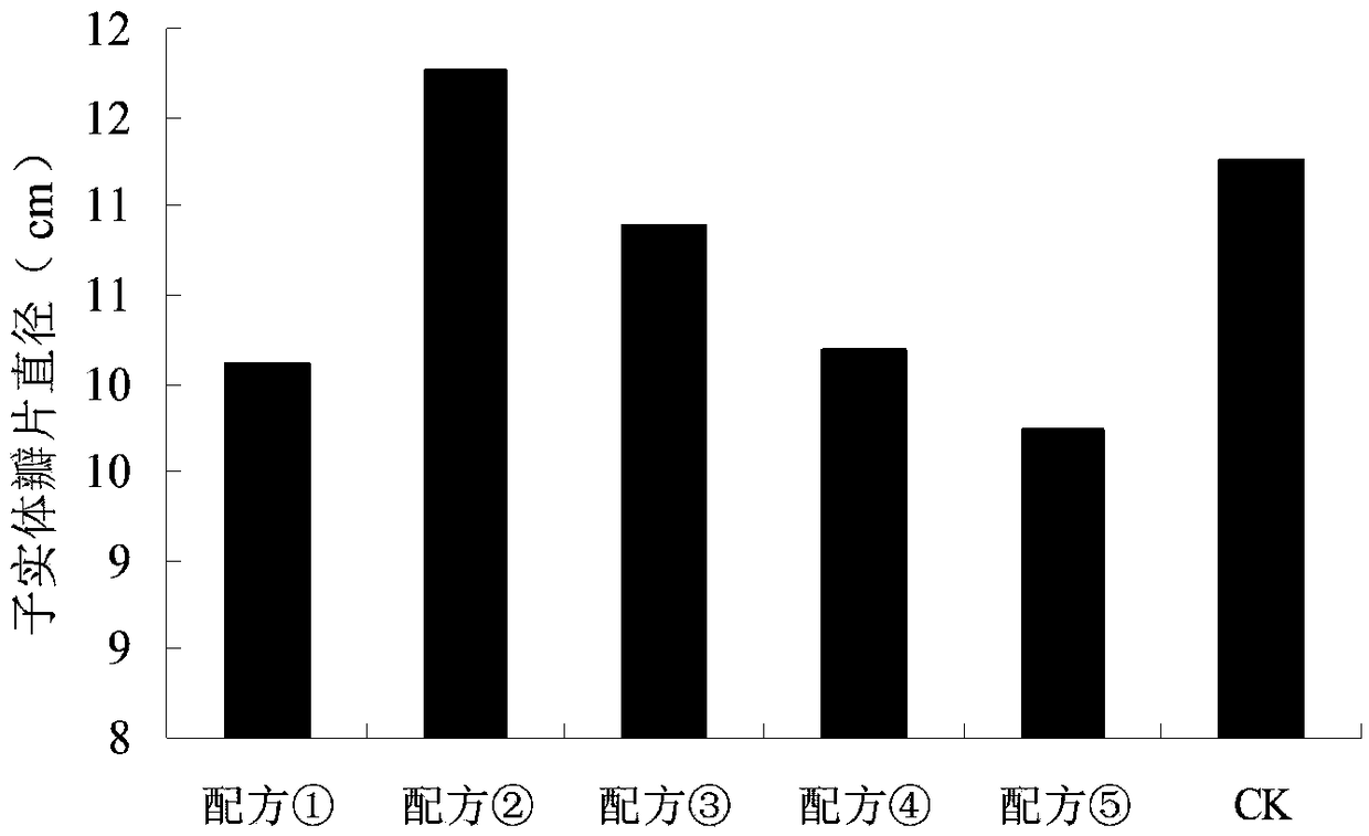 Sparassis crispa culture medium adopting pine and fir sawdust as raw materials and sparassis crispa culture method thereof