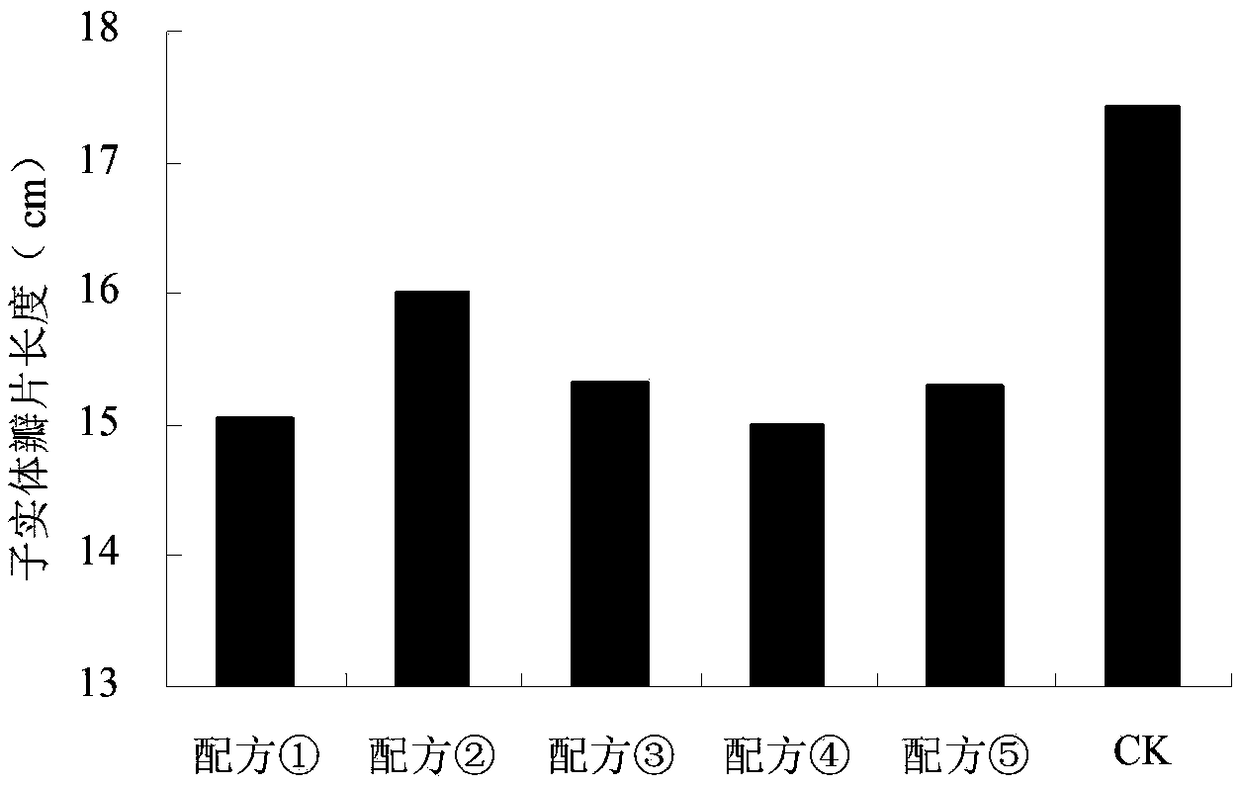 Sparassis crispa culture medium adopting pine and fir sawdust as raw materials and sparassis crispa culture method thereof