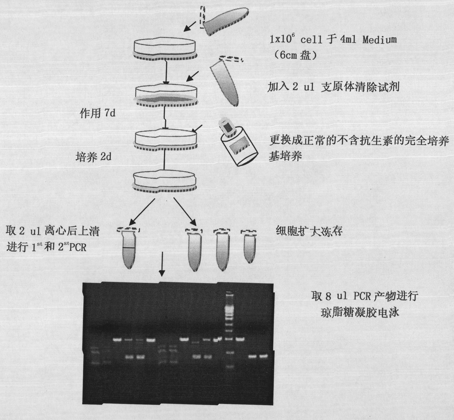 Mycoplasma clearing reagent and application thereof