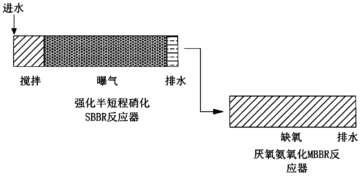 Biofilm-based two-stage reinforced half-nitrosofication coupled anaerobic ammonium oxidation treatment device and method for urban domestic sewage