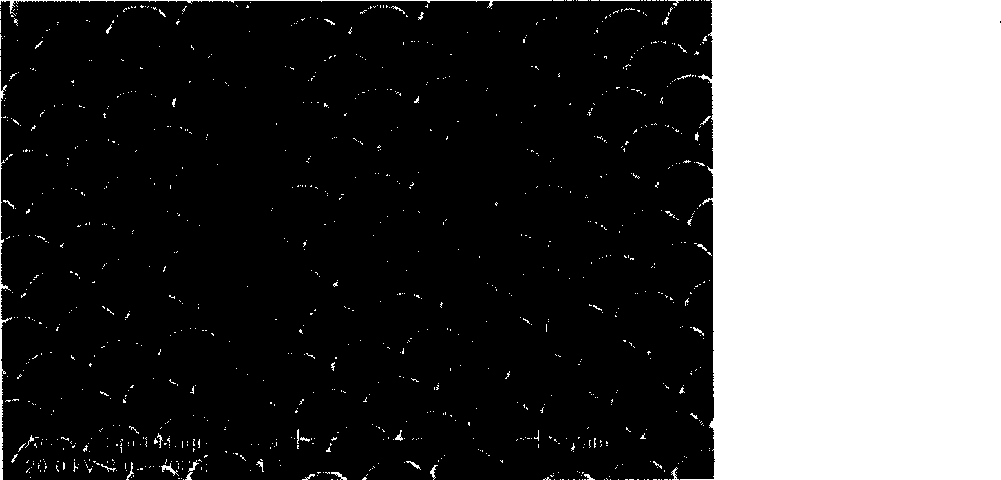 A surface plasmon crystal and a preparation method thereof