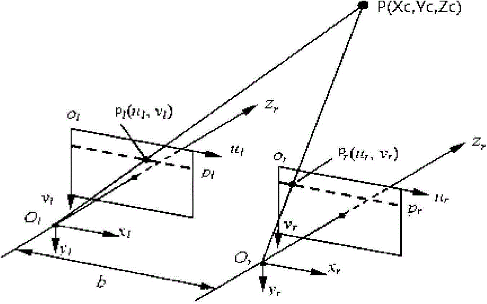 Binocular vision-based human body posture and action research method