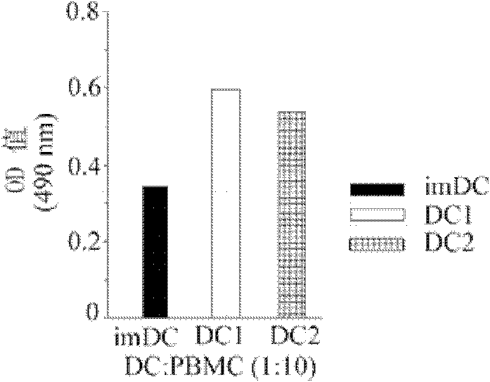 In vitro culture method for promoting maturation of dendritic cells and special culture medium for the same