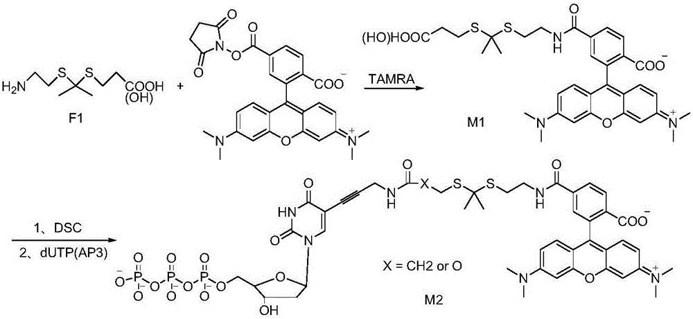 Thioketal connection unit, synthetic method and purpose thereof