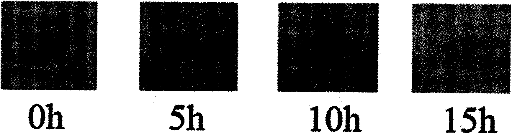 Preparation method of self-cleaning wool fabric