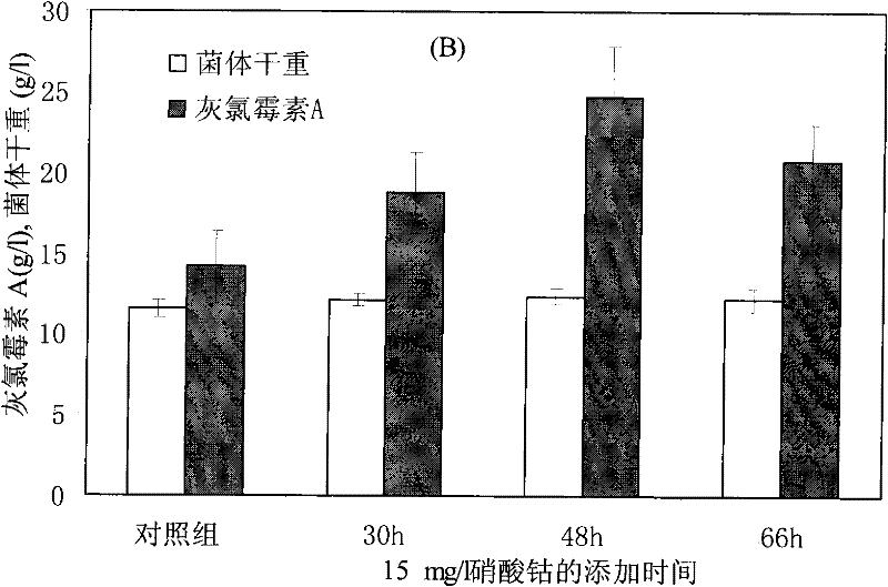 The method of adding metal ions to increase the output of griseovirmycin a