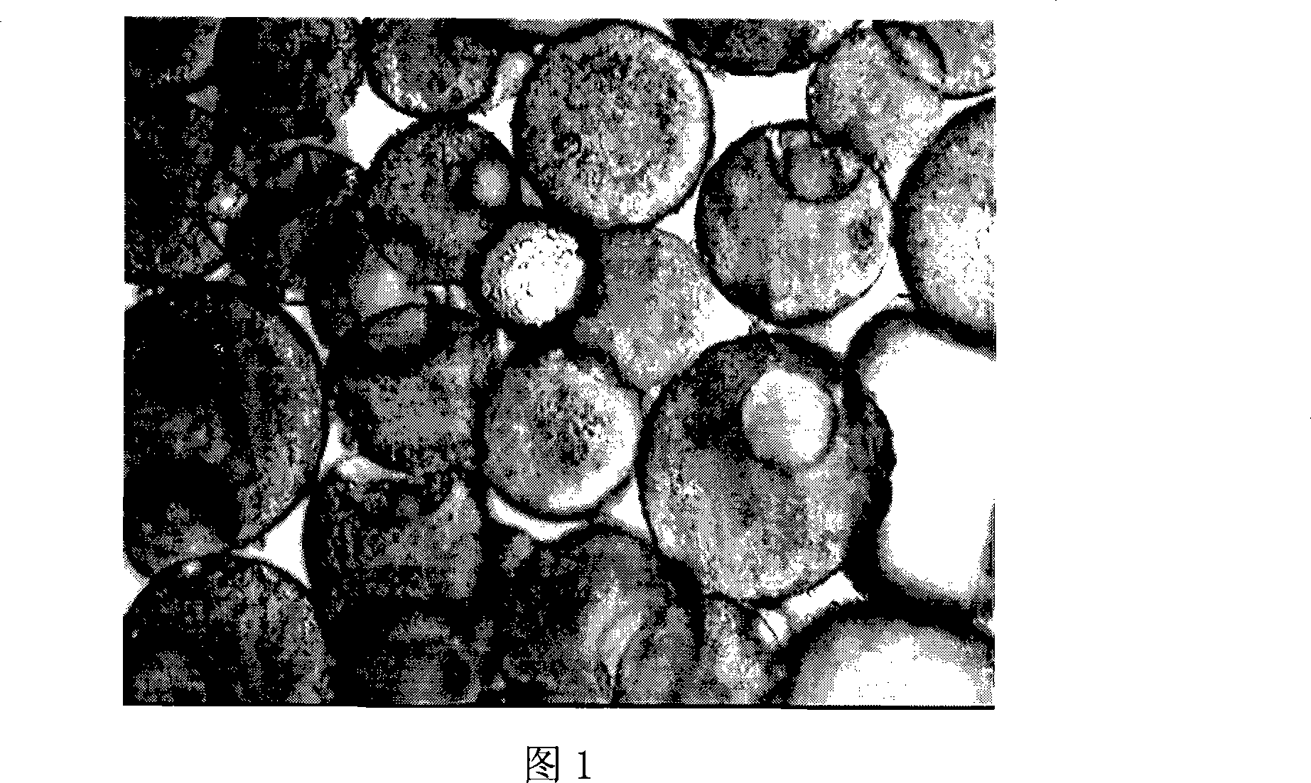 Slow release type biological anti-fouling paint