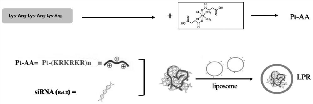 Preparation method and application of platinum peptide copolymer with siRNA transportation function