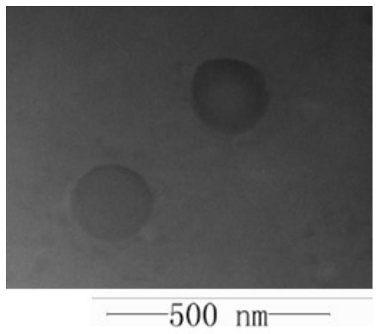 Preparation method and application of platinum peptide copolymer with siRNA transportation function