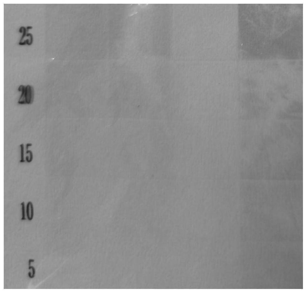 Water-based ink with high drying speed and preparation method thereof