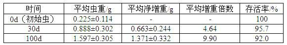 Semi-artificial feed for anoplophora chinensis larvae and artificial feeding method