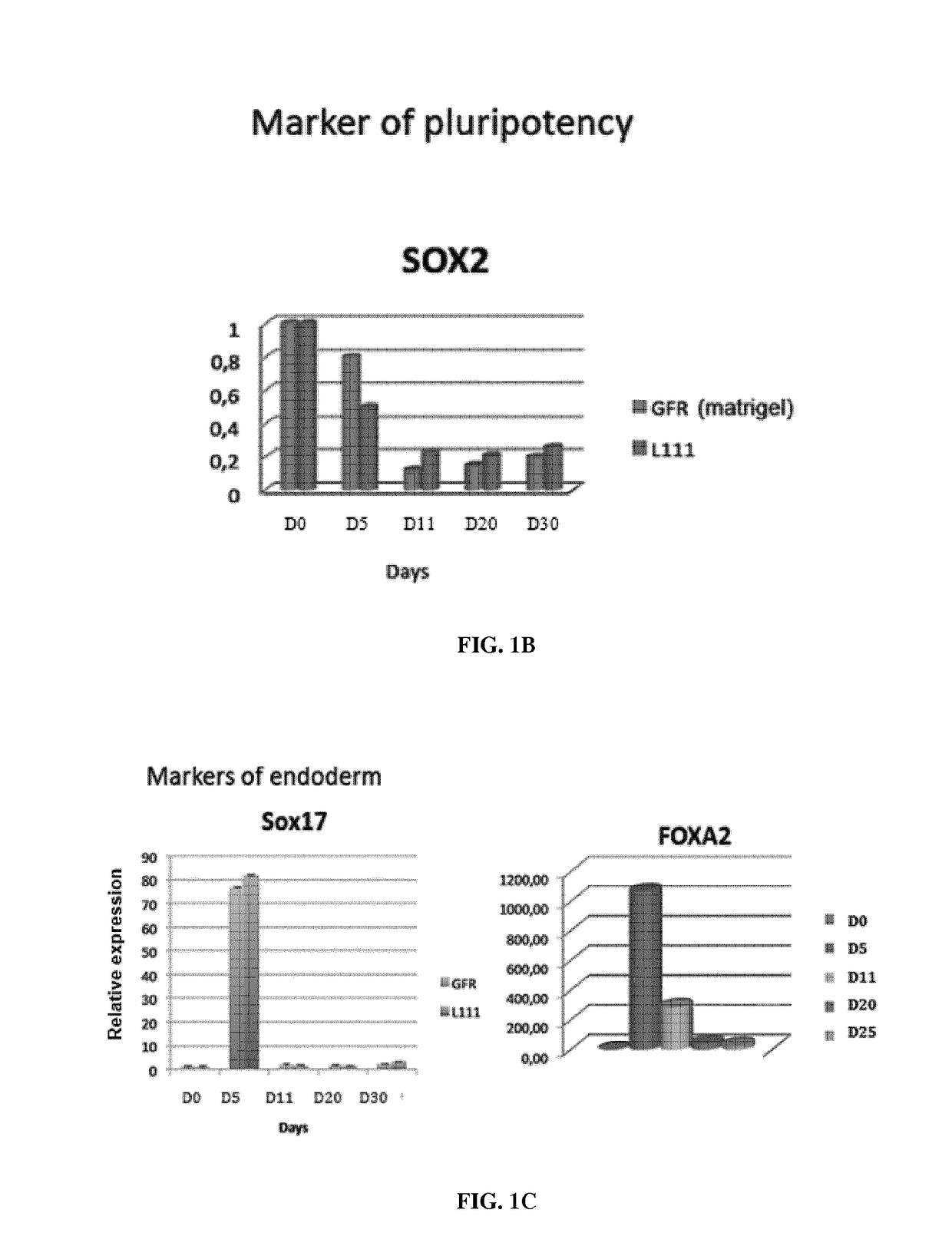 Use of a laminin for differentiating pluripotent cells into hepatocyte lineage cells