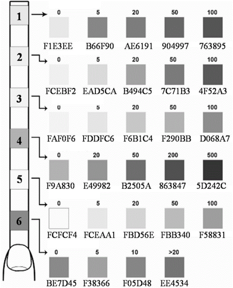 Six-in-one test paper for quickly detecting heavy metal residues