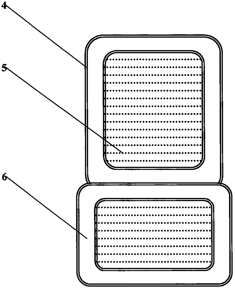 Decoration of supported nanometer titanium dioxide silver exchanger