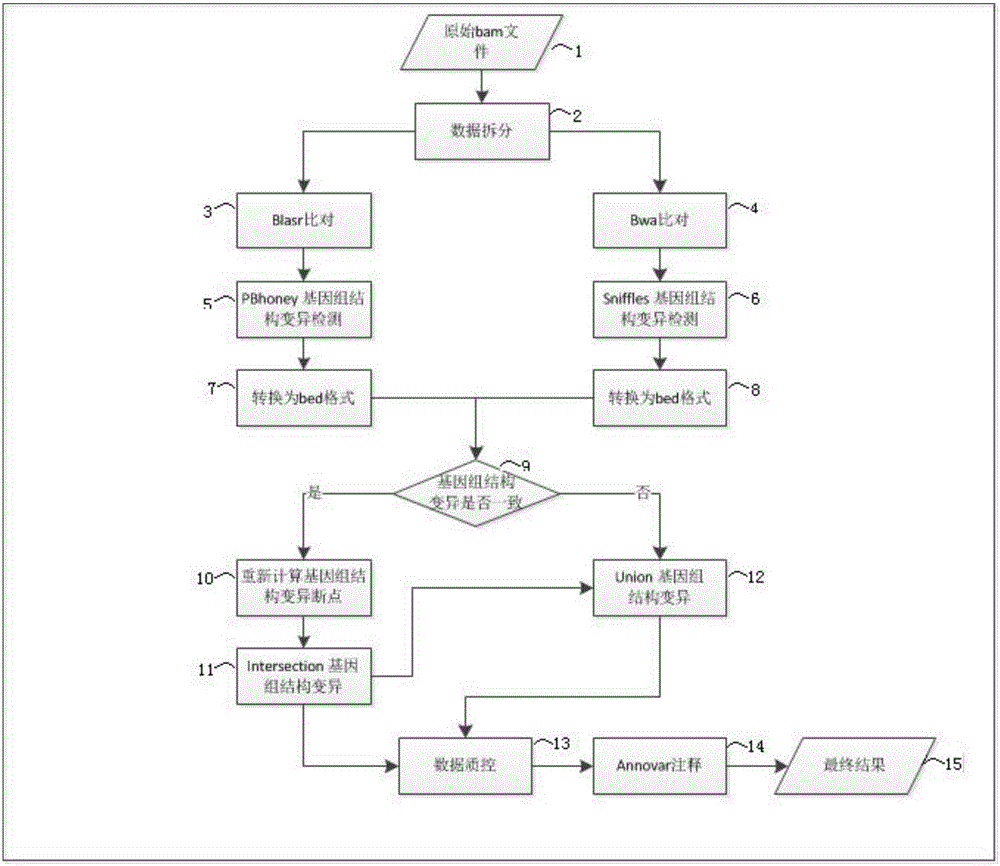 Three-generation sequencing-based whole genome structure variation analysis method and system