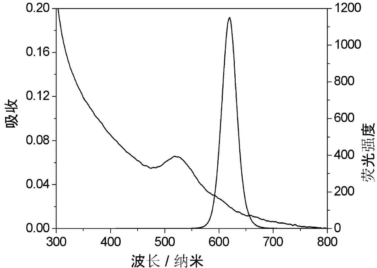 Surface plasma fluorescence-enhanced nano composite structure film and preparation method thereof