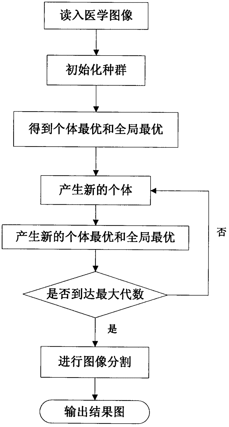 Medical image segmentation method based on quantum-behaved particle swarm cooperative optimization