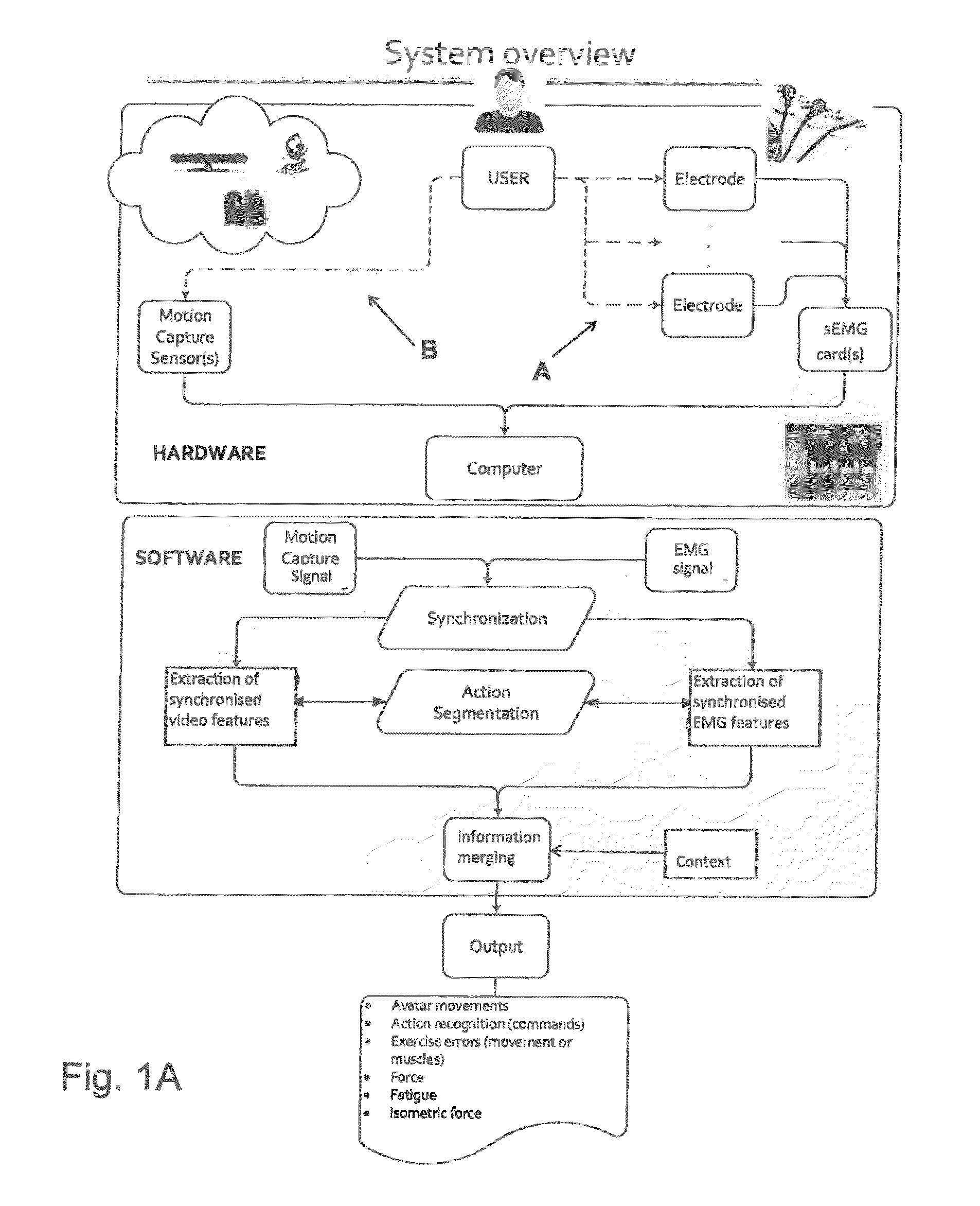 System for the acquisition and analysis of muscle activity and operation method thereof