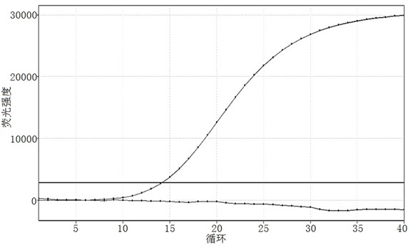 Nucleic acid composition, kit and detection method for detecting fusion mutation of human FGFR2 (fibroblast growth factor receptor 2) gene