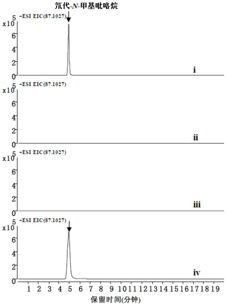 The biosynthesis method of n-methylpyrroline