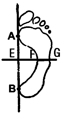 Human body foot type arch detection method