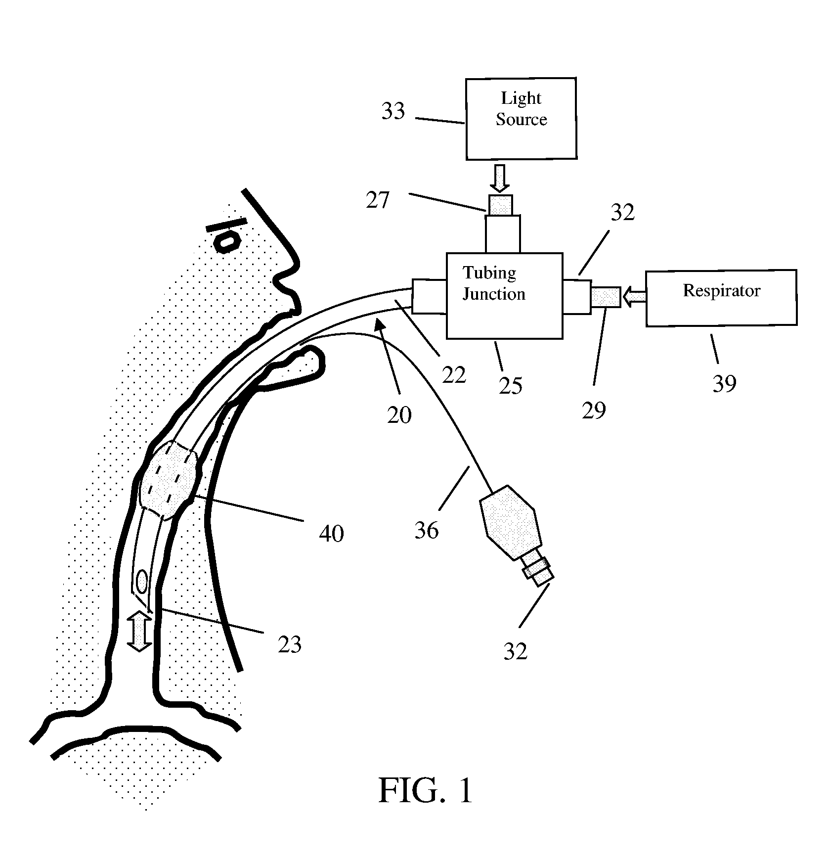 Structures and Methods for the Joint Delivery of Fluids and Light